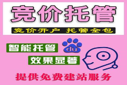 SEM竞价托管实战案例解析